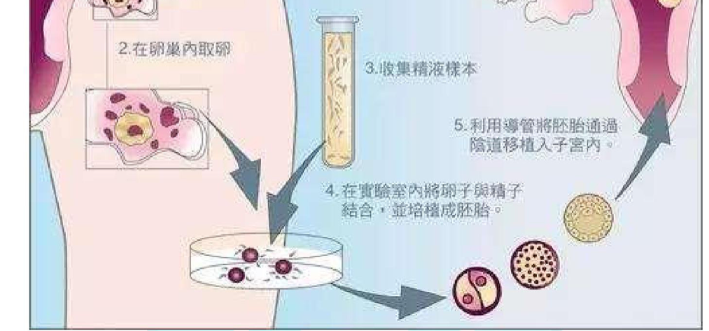 图片 2.png