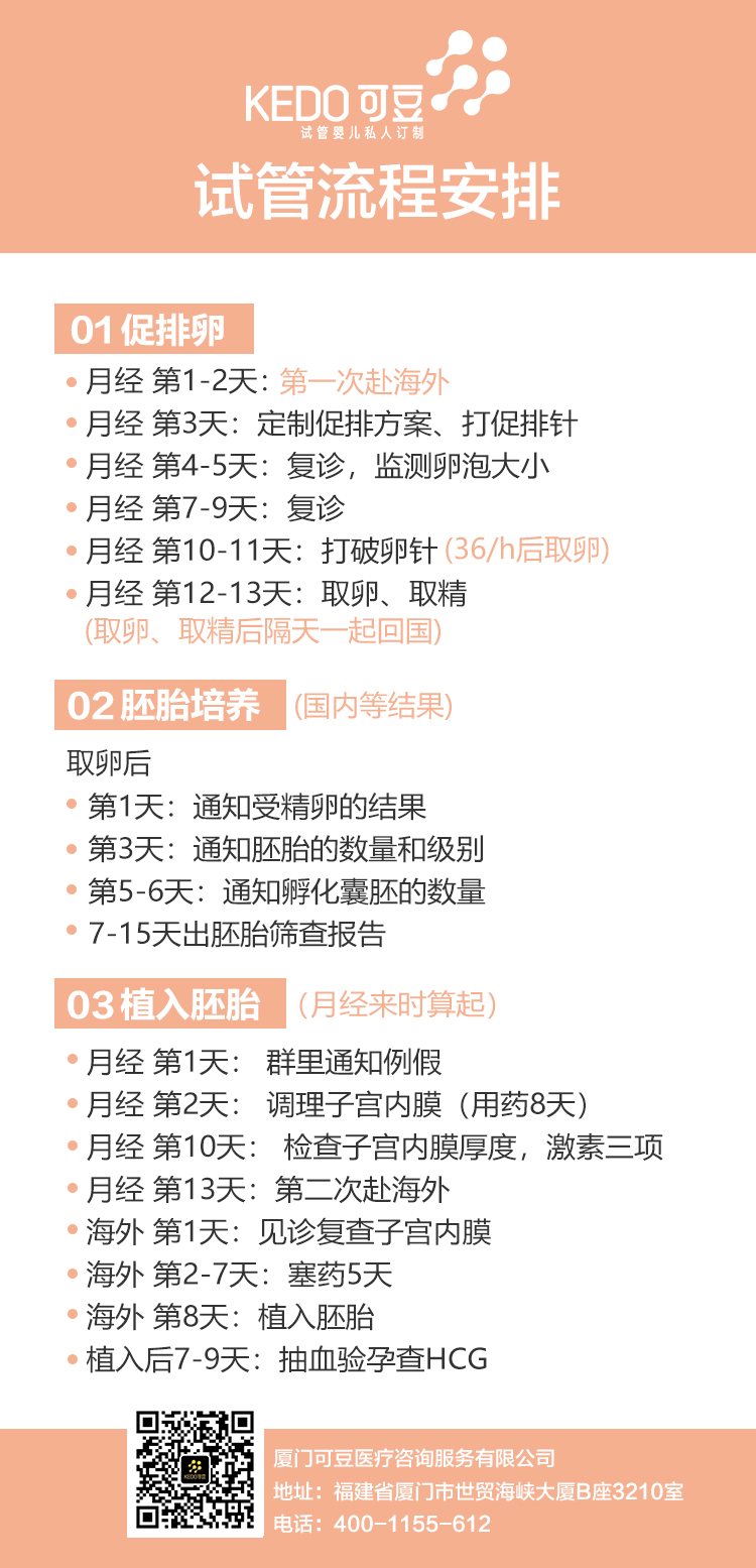 试管流程.jpg