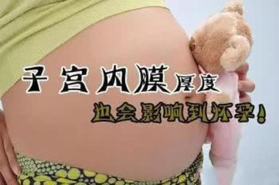 1_meitu_1.jpg