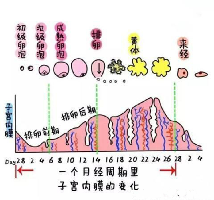 5_meitu_5.jpg