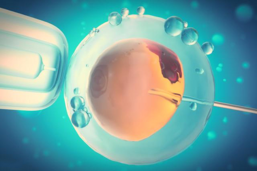 2_meitu_3.jpg